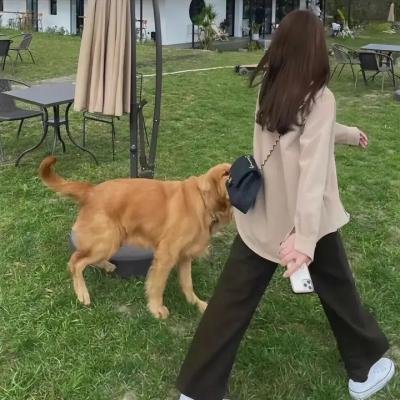 我为何要当拳击裁判员